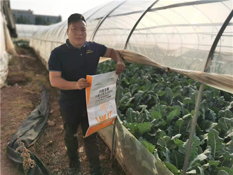 大量元素水溶肥，拉姆拉，翠姆