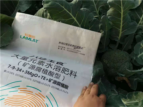 大量元素水溶肥，拉姆拉，翠姆