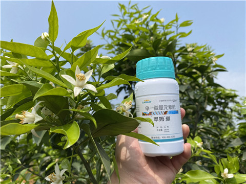 硼肥，拉姆拉，翠姆