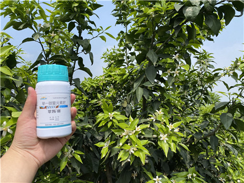 硼肥，拉姆拉，翠姆