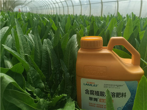 水溶肥，翠姆，拉姆拉