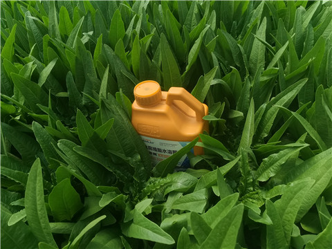水溶肥，翠姆，拉姆拉