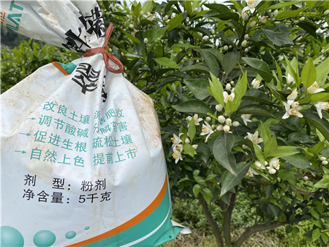 水溶肥，翠姆，拉姆拉