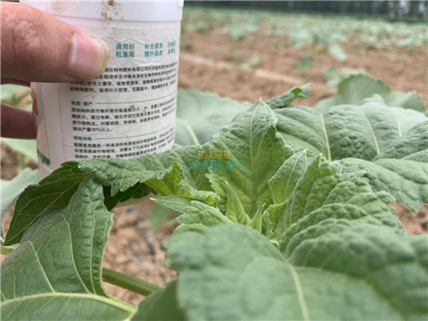 水溶肥，翠姆，拉姆拉