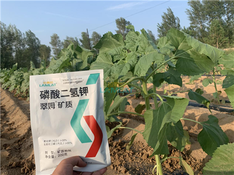 水溶肥，翠姆，拉姆拉