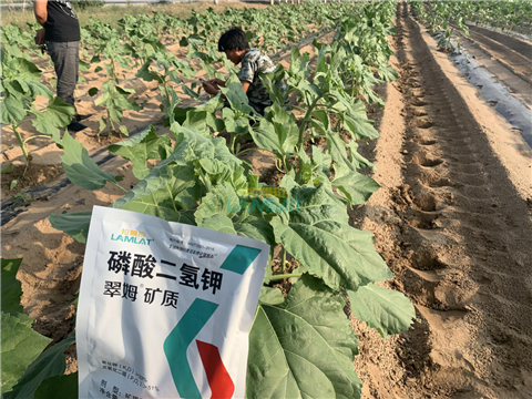 水溶肥，翠姆，拉姆拉