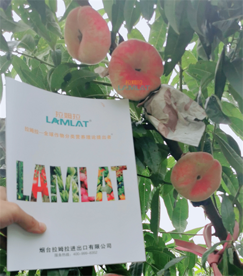 水溶肥，翠姆，拉姆拉