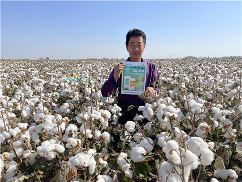 水溶肥，翠姆，拉姆拉