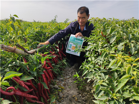 水溶肥，翠姆，拉姆拉