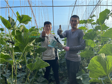 水溶肥，翠姆，拉姆拉