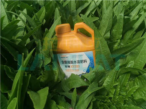 水溶肥，翠姆，拉姆拉