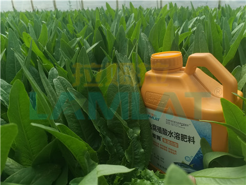 水溶肥，翠姆，拉姆拉