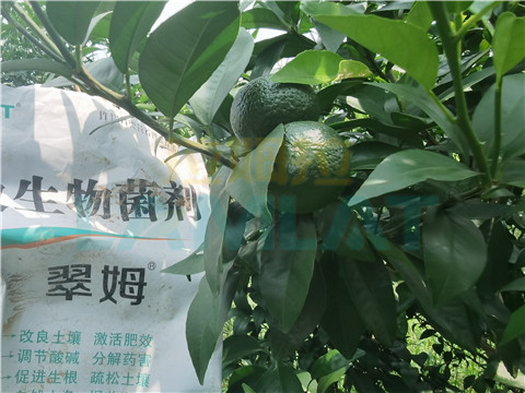 微生物菌劑，翠姆，拉姆拉