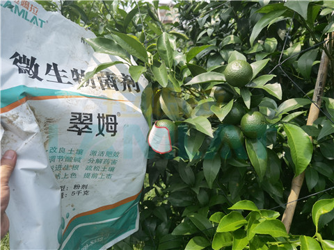 微生物菌劑，翠姆，拉姆拉