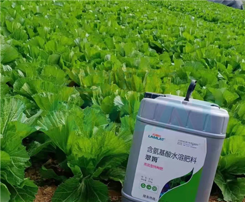 水溶肥，翠姆，拉姆拉