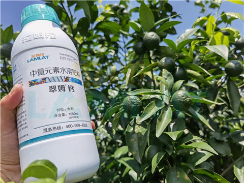 水溶肥，拉姆拉，翠姆