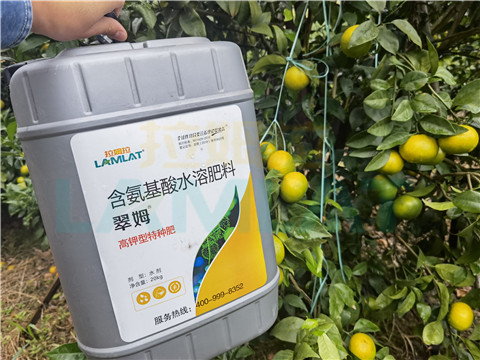 水溶肥，拉姆拉，翠姆