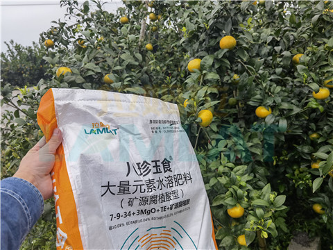 水溶肥，拉姆拉，翠姆