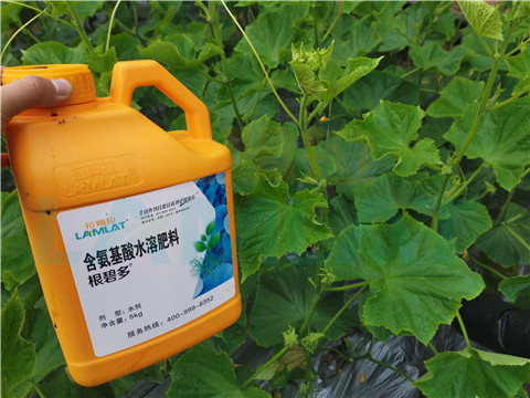 水溶肥，拉姆拉，翠姆