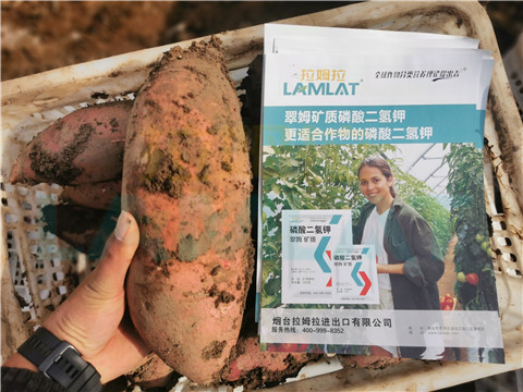 水溶肥，拉姆拉，翠姆