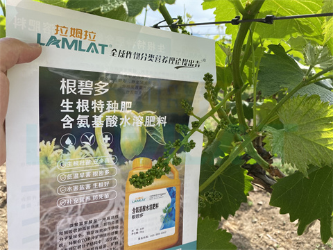 水溶肥，拉姆拉，翠姆