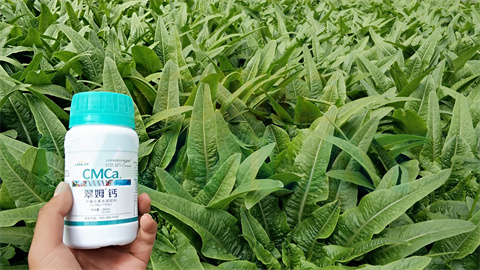 水溶肥，拉姆拉，翠姆