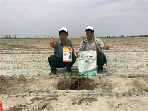 水溶肥，拉姆拉，翠姆