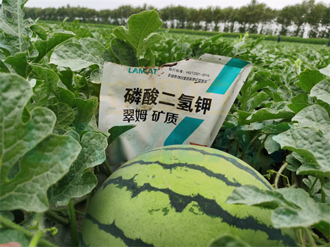 水溶肥，拉姆拉，翠姆
