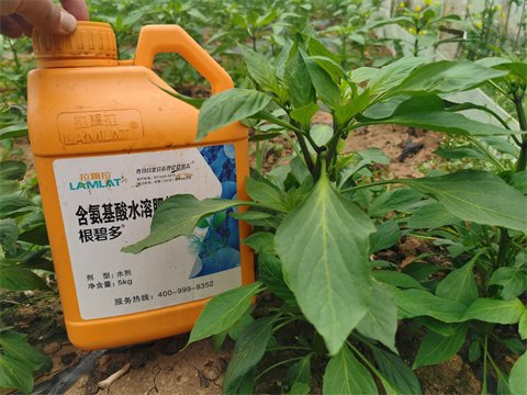 水溶肥，翠姆，拉姆拉