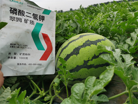 水溶肥，翠姆，拉姆拉