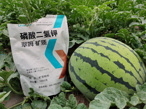 水溶肥，翠姆，拉姆拉