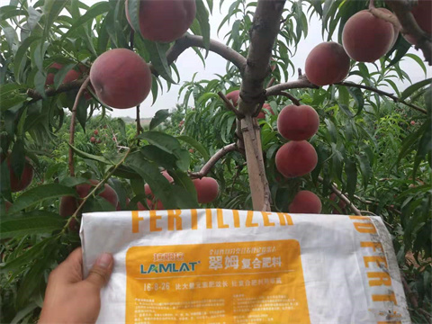 水溶肥,翠姆,桃樹(shù)水溶肥 水溶肥,翠姆,桃樹(shù)水溶肥