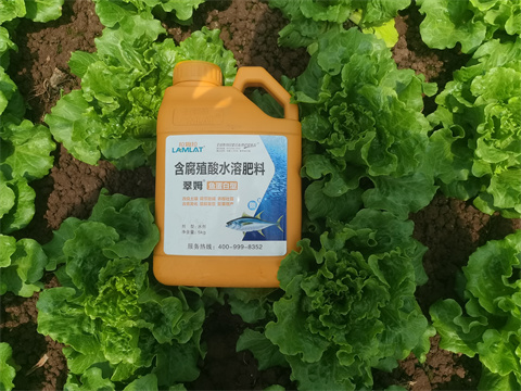 水溶肥,翠姆，蔬菜水溶肥