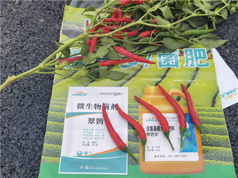 辣椒施肥,水溶肥,翠姆 辣椒施肥,水溶肥,翠姆