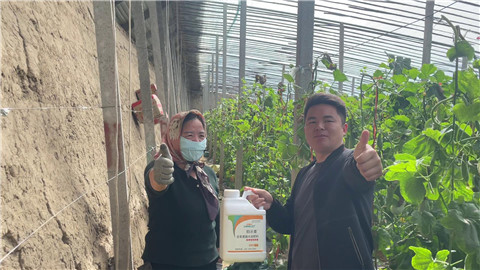 水溶肥品牌,羊角蜜種植,伯示麥水溶肥 水溶肥品牌,羊角蜜種植,伯示麥水溶肥