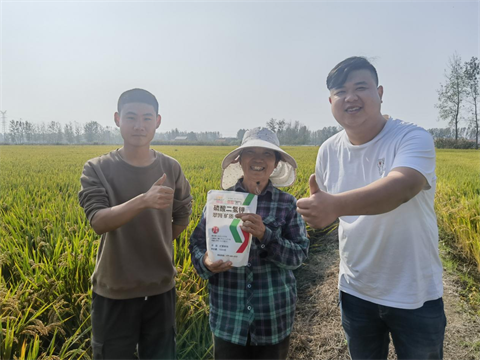 水溶肥,水稻種植,翠姆磷酸二氫鉀 水溶肥,水稻種植,翠姆磷酸二氫鉀