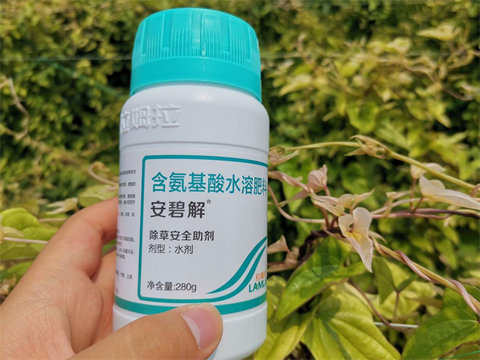 除草劑藥害,山藥種植,拉姆拉安碧解 除草劑藥害,山藥種植,拉姆拉安碧解