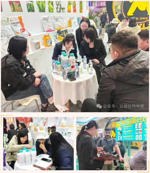 進(jìn)口水溶肥,山東植保會,拉姆拉水溶肥 進(jìn)口水溶肥,山東植保會,拉姆拉水溶肥