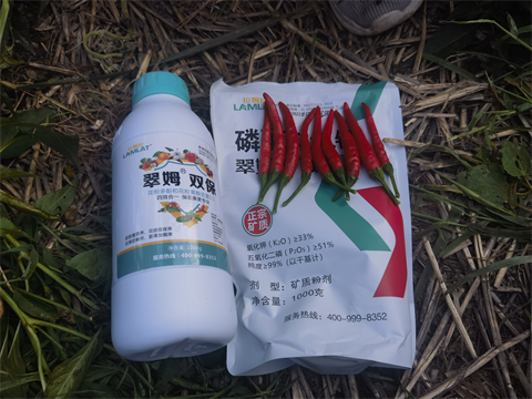 進(jìn)口水溶肥,辣椒種植,拉姆拉水溶肥 進(jìn)口水溶肥,辣椒種植,拉姆拉水溶肥