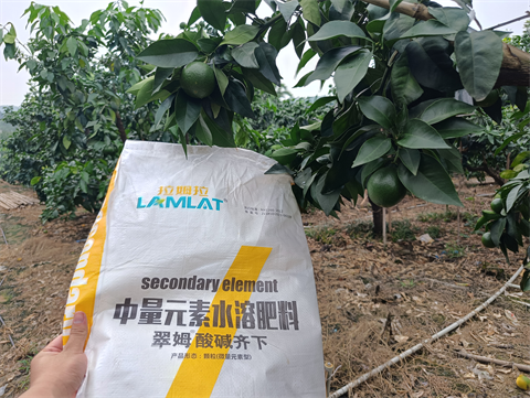 水溶肥品牌,柑橘種植,拉姆拉滴灌級特種肥 水溶肥品牌,柑橘種植,拉姆拉滴灌級特種肥