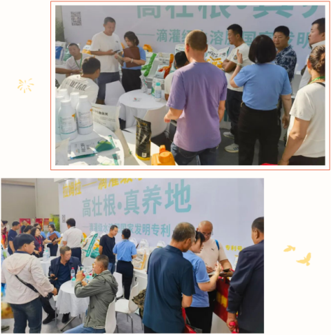水溶肥廠家,遼寧植保會(huì),拉姆拉滴灌級特種肥 水溶肥廠家,遼寧植保會(huì),拉姆拉滴灌級特種肥