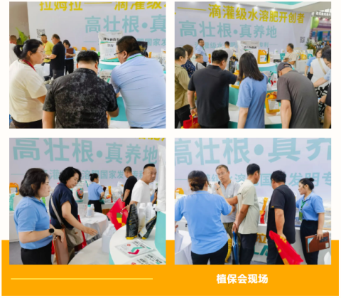 水溶肥廠家,遼寧植保會(huì),拉姆拉滴灌級特種肥 水溶肥廠家,遼寧植保會(huì),拉姆拉滴灌級特種肥