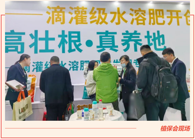 全國(guó)植保會(huì),水溶肥廠家,拉姆拉滴灌級(jí)特種肥 全國(guó)植保會(huì),水溶肥廠家,拉姆拉滴灌級(jí)特種肥